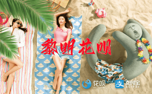 纷纷扬扬花呗